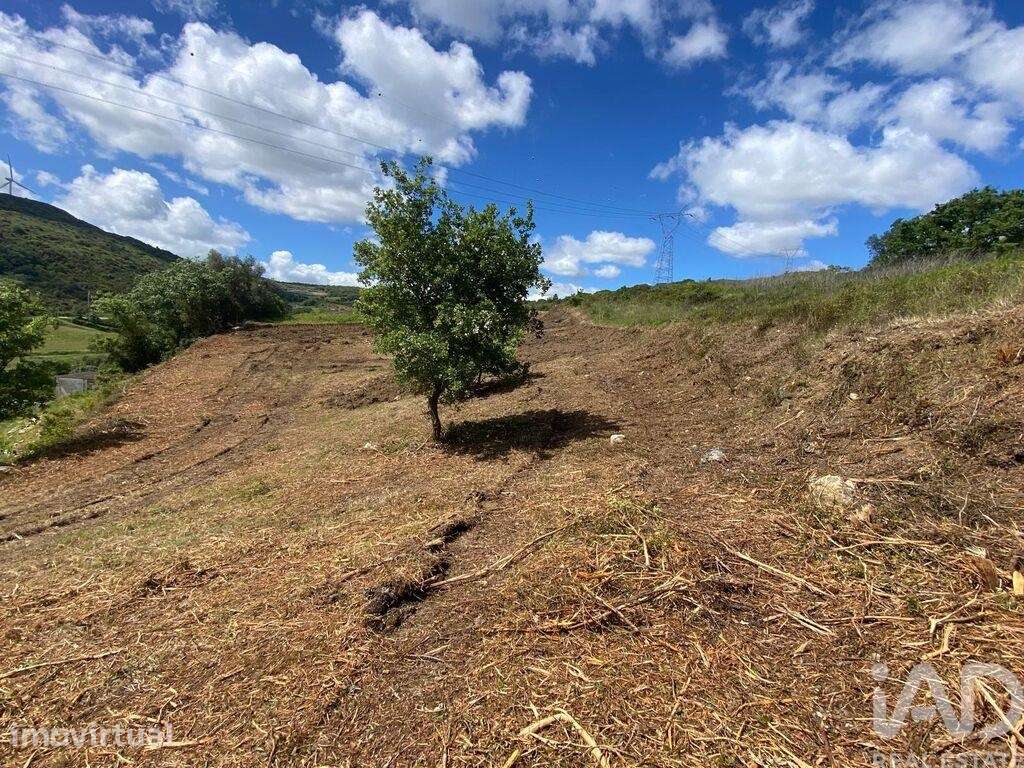 Terreno em Arranhó - Grande imagem: 4/8