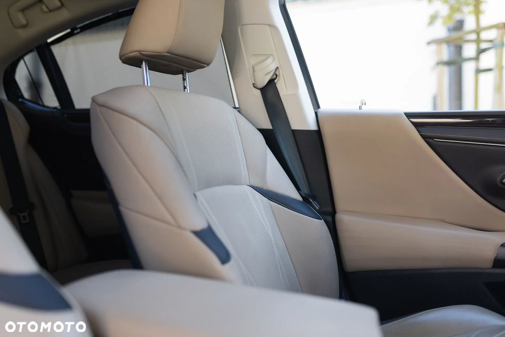 Lexus ES 300h Omotenashi - 16