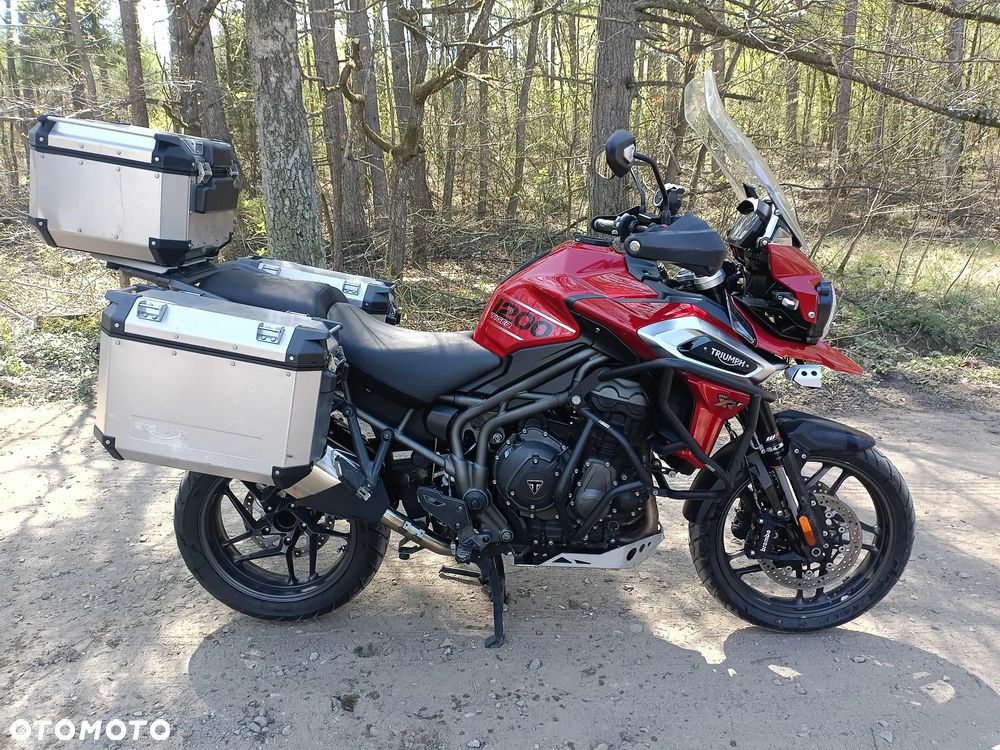 Triumph Tiger - 16