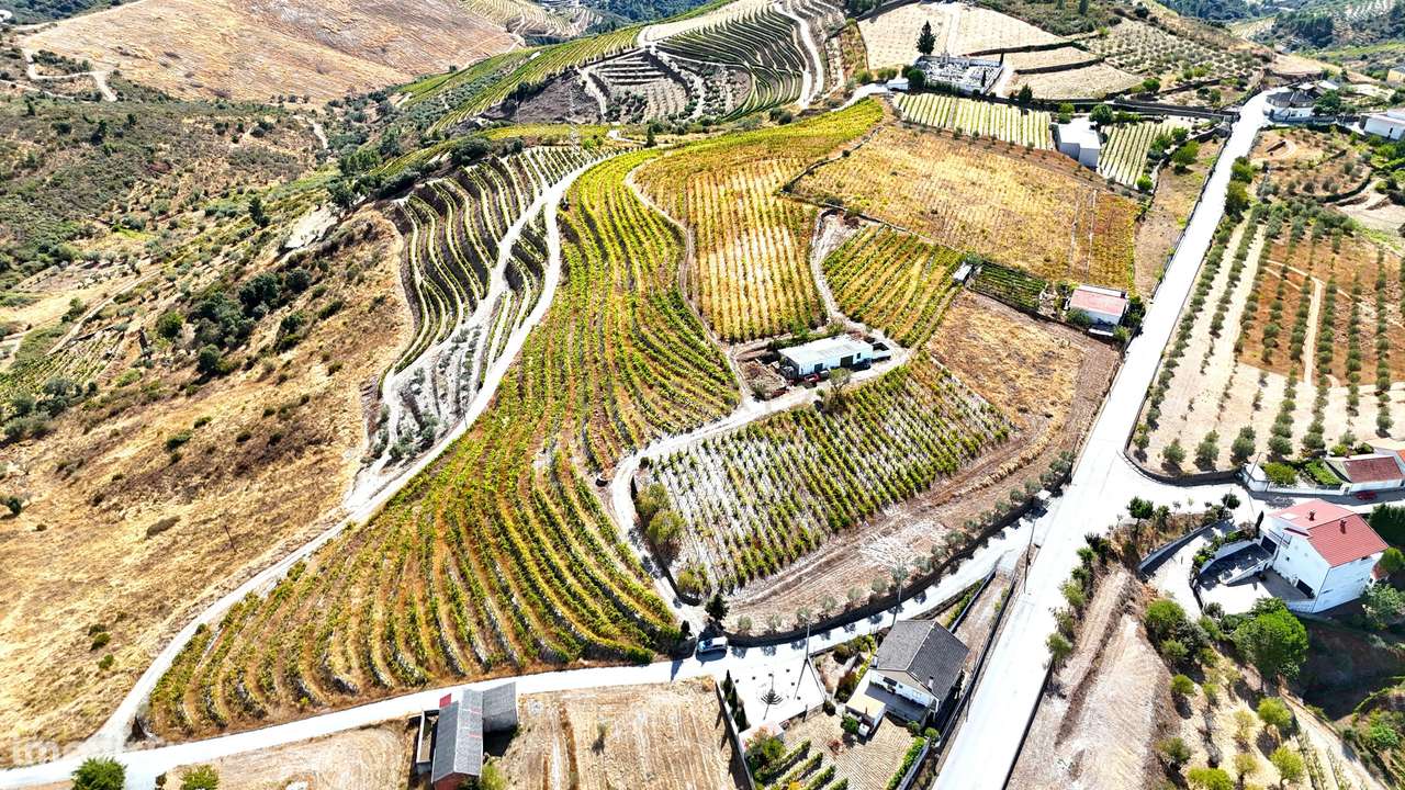 Propriedade Agrícola no Coração do Douro com Vinhas de Vinho do Porto, - Grande imagem: 3/29
