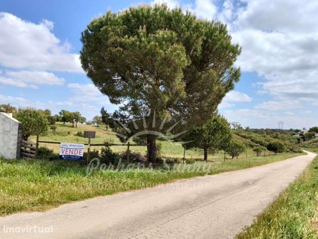 Propriedade de 6.4 hectares Santa Margarida da Serra - Grande imagem: 3/38