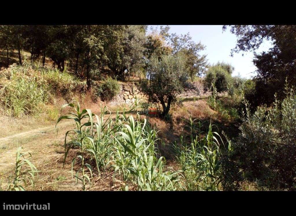 Terreno Rustico com 7400m2 - Grande imagem: 2/7