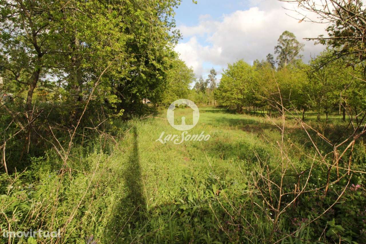 Terreno Moreira do Rei Fafe - Grande imagem: 2/11