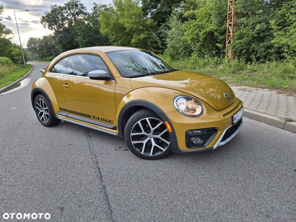 Volkswagen Beetle - 13