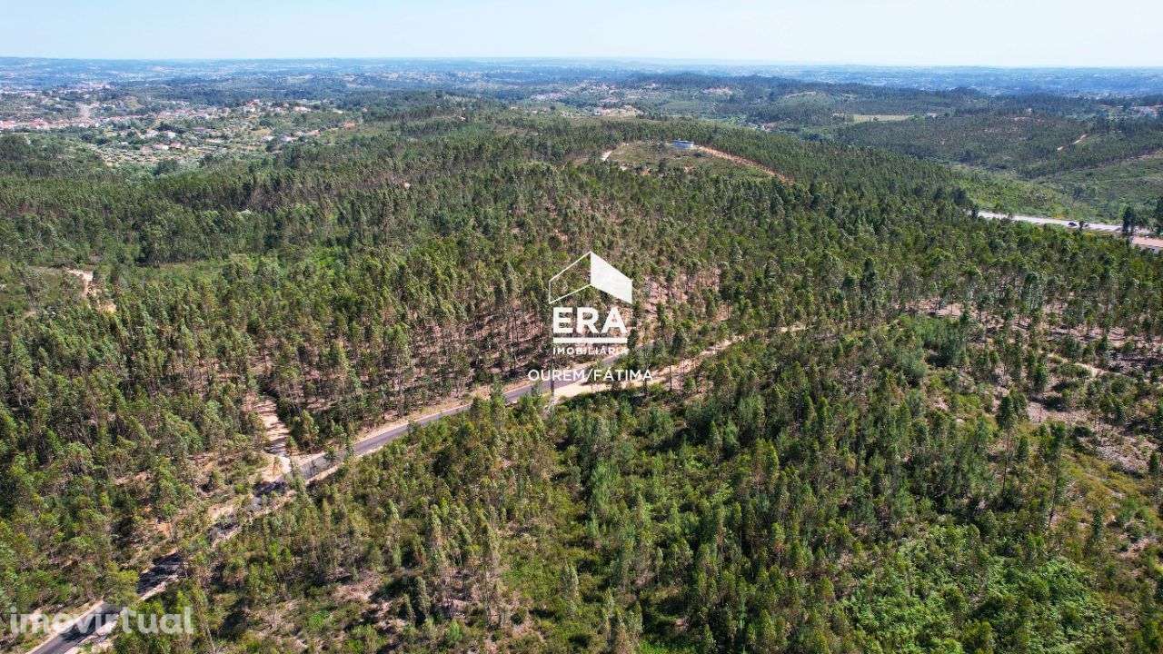 Terreno Rústico localizado em Carregueiros, Tomar - Grande imagem: 4/15