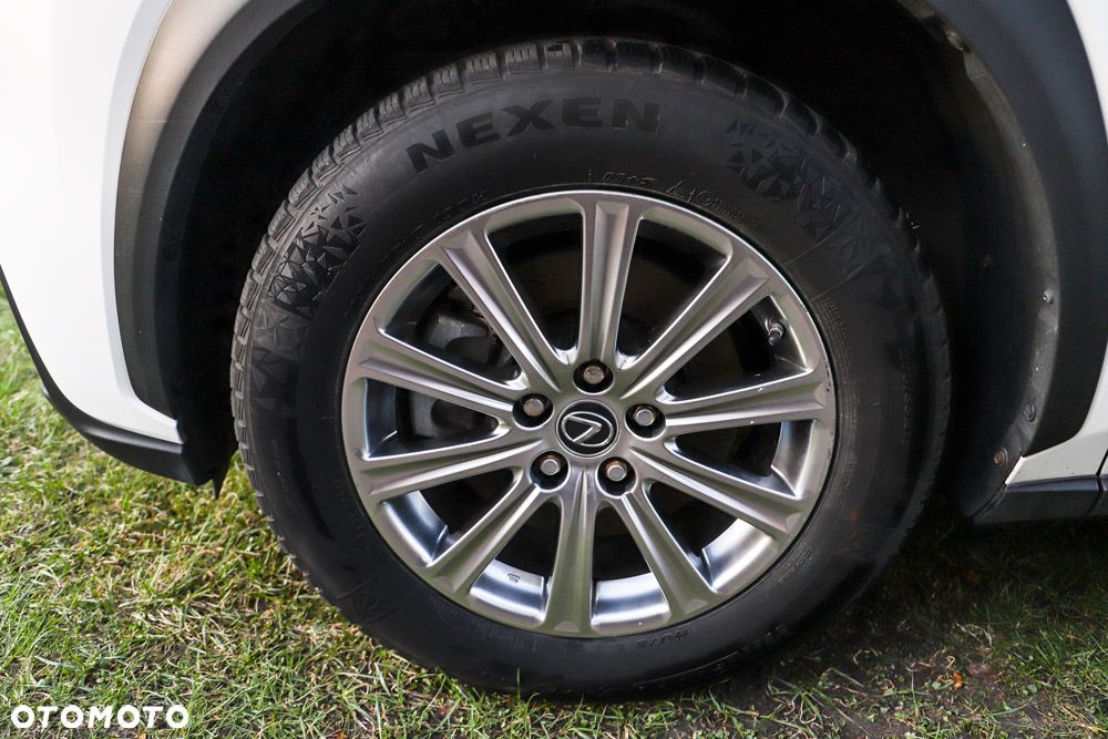 Lexus NX 300h - 14