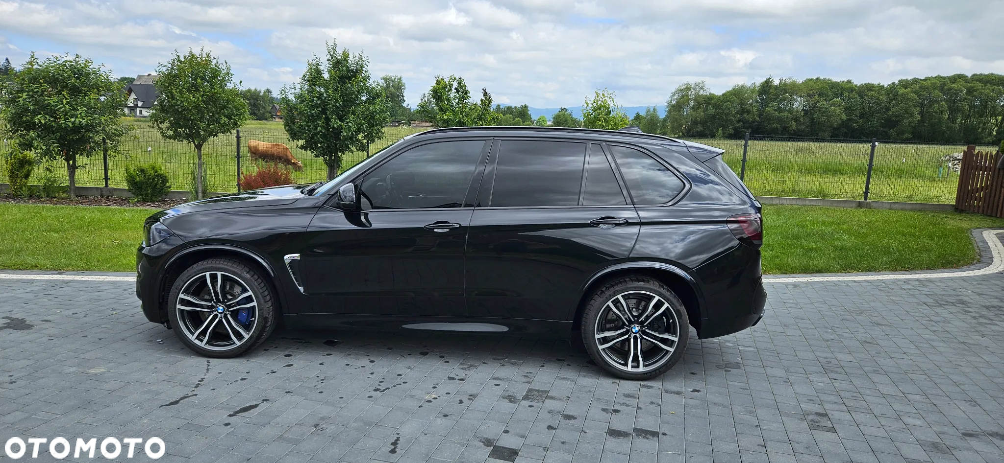 BMW X5 X5M - 5