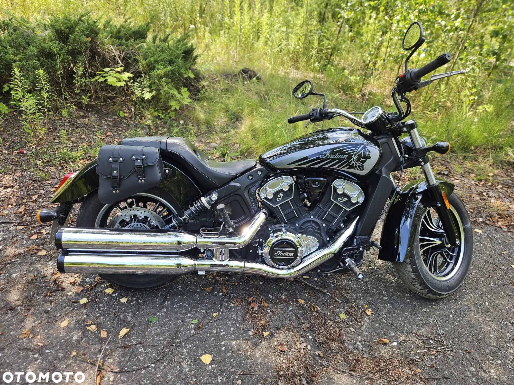 Indian Scout - 6