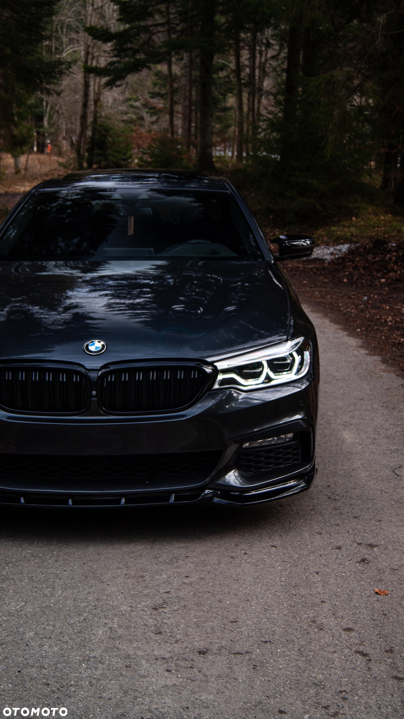 BMW Seria 5 - 2