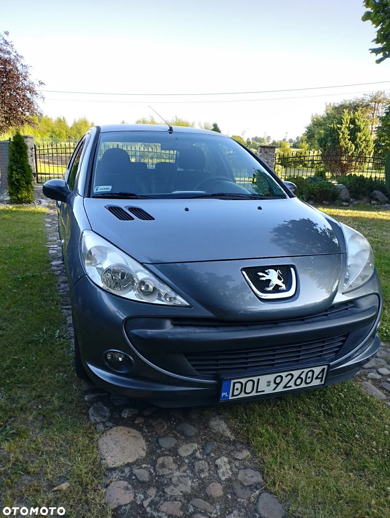 Peugeot 206 - 7