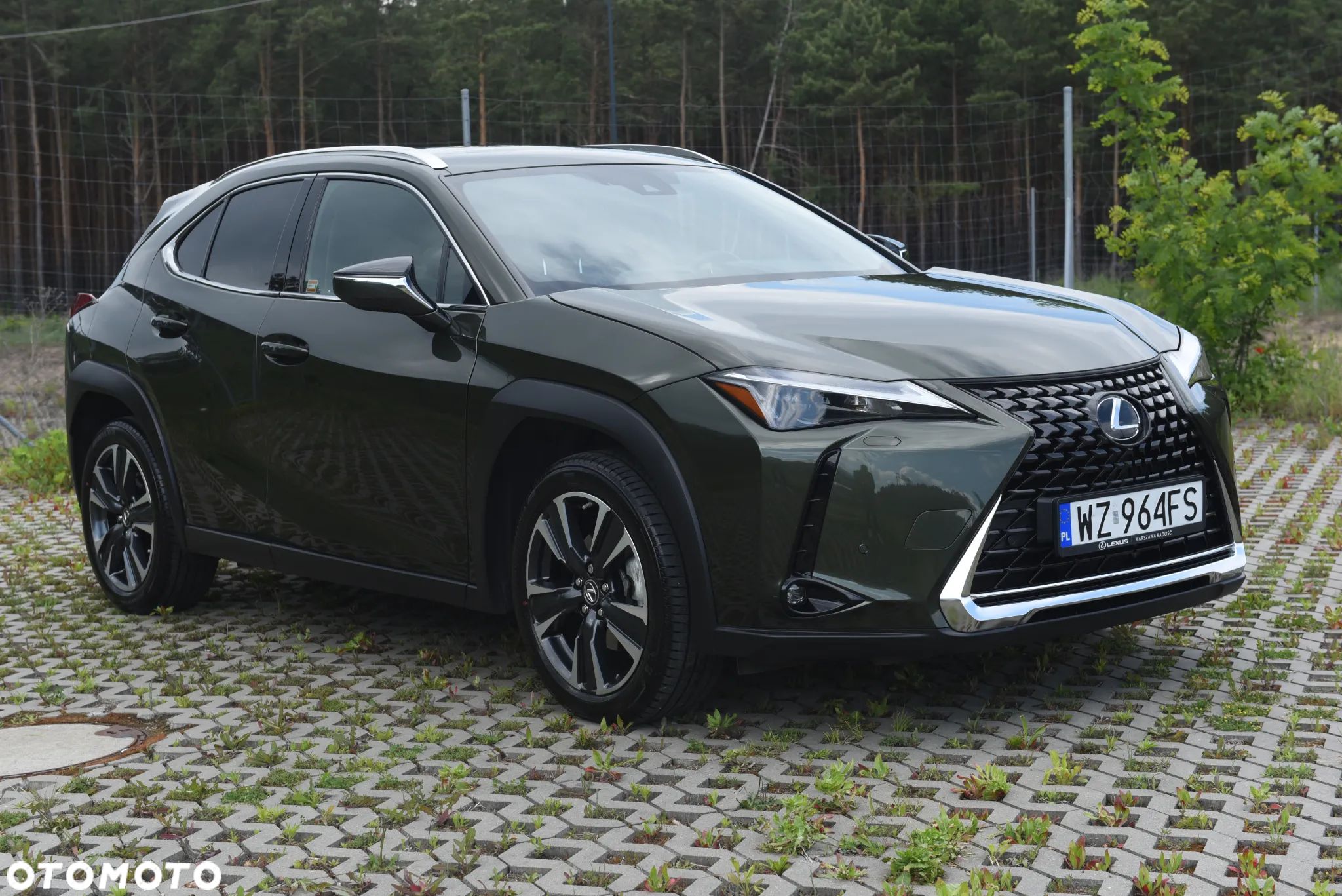 Lexus UX 250h GPF Business 2WD - 1