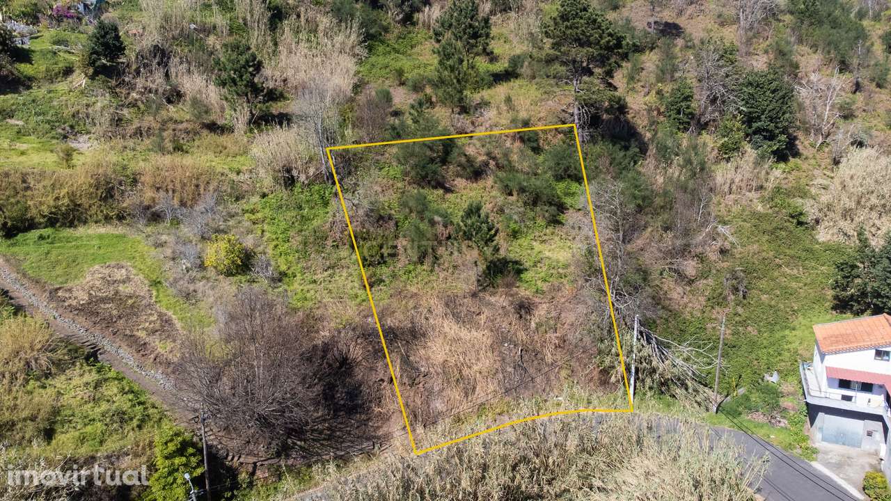 Terreno Rústico nas Faias, Arco da Calheta - Oportunidade Única! - Grande imagem: 2/8