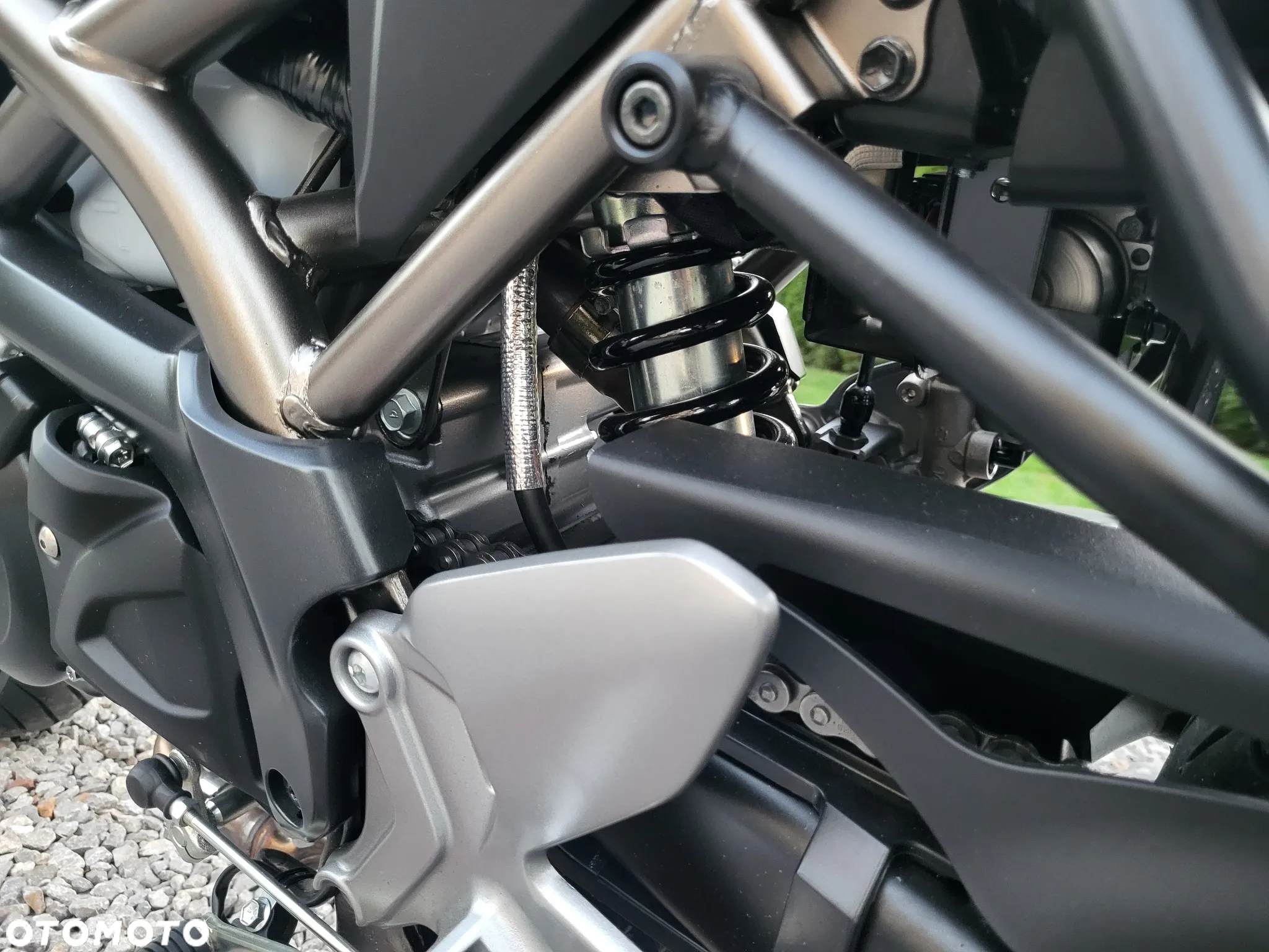 Suzuki SV - 18