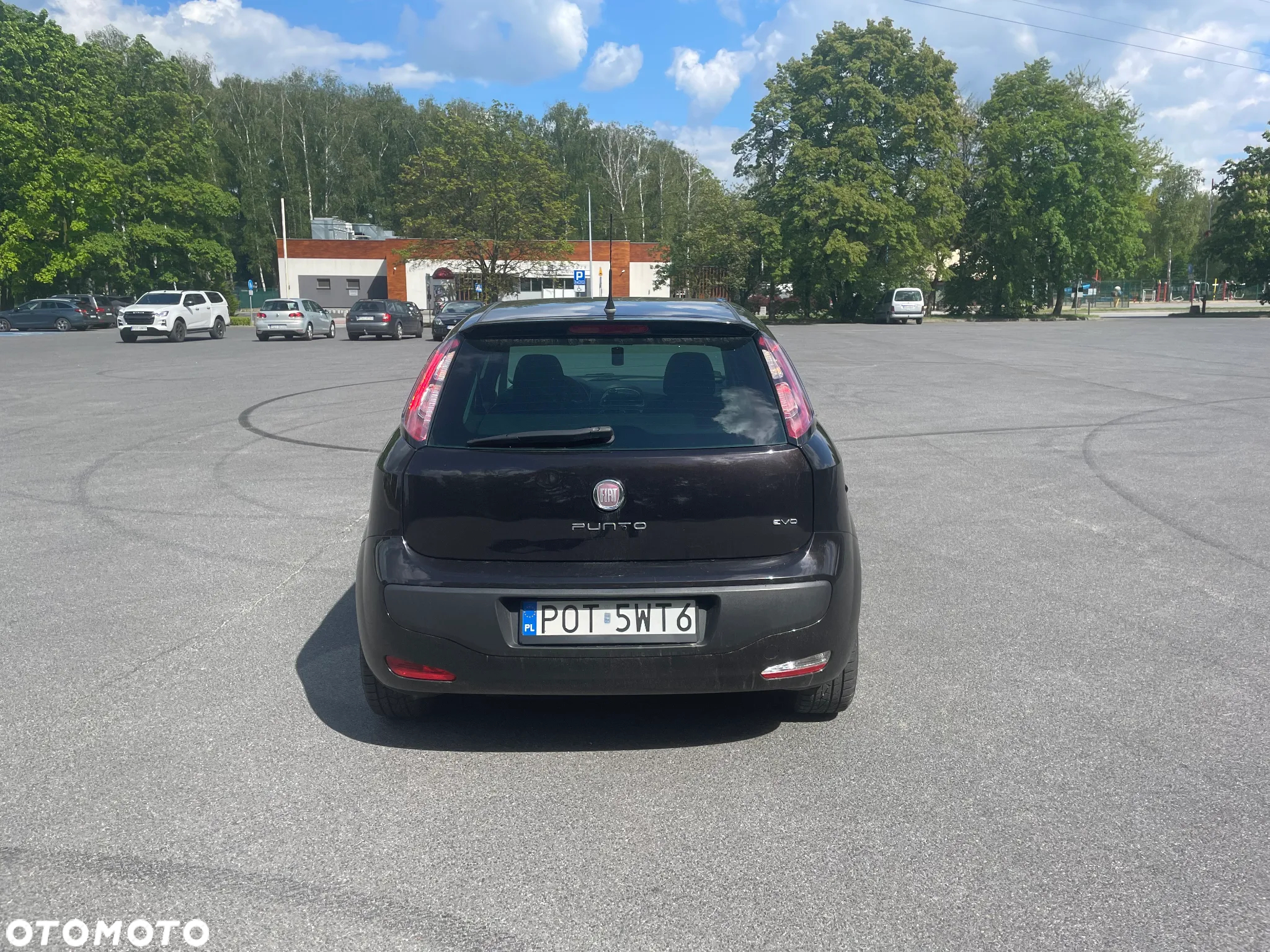 Fiat Punto Evo 1.3 Multijet 16V Dynamic - 6
