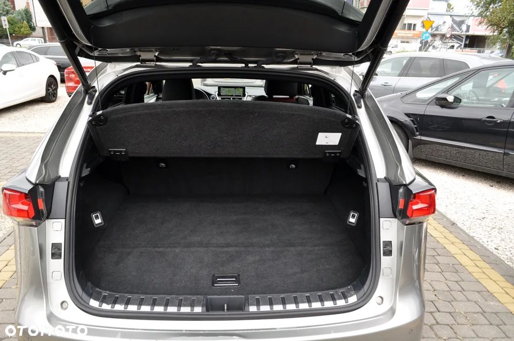 Lexus NX 300h F Sport Edition AWD - 35