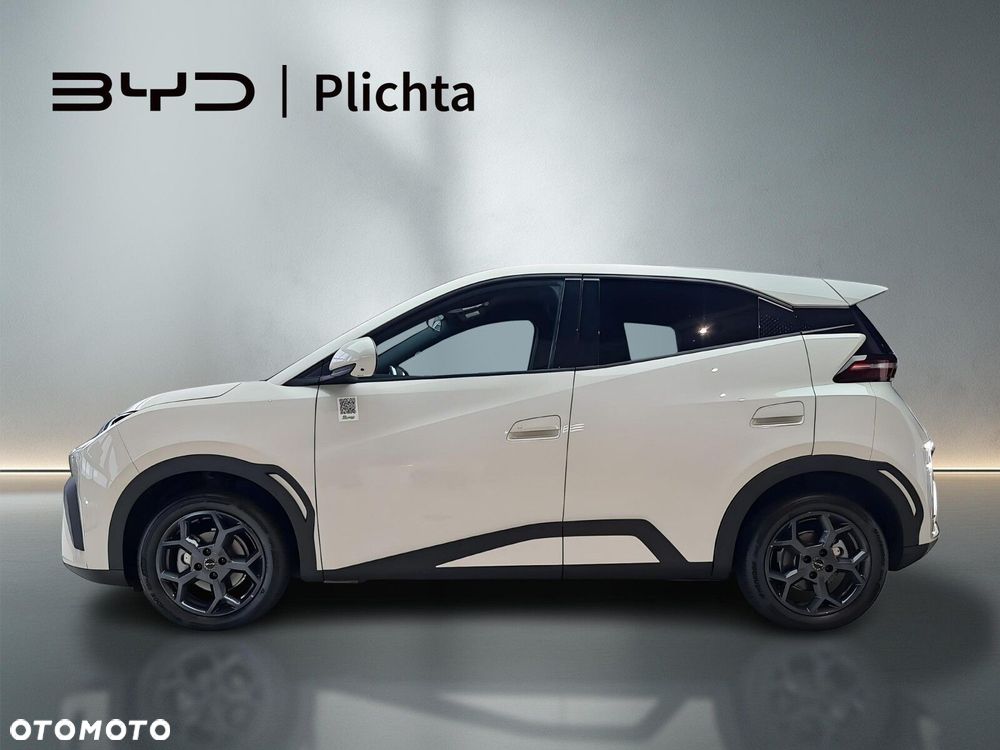 BYD Dolphin Surf - 2