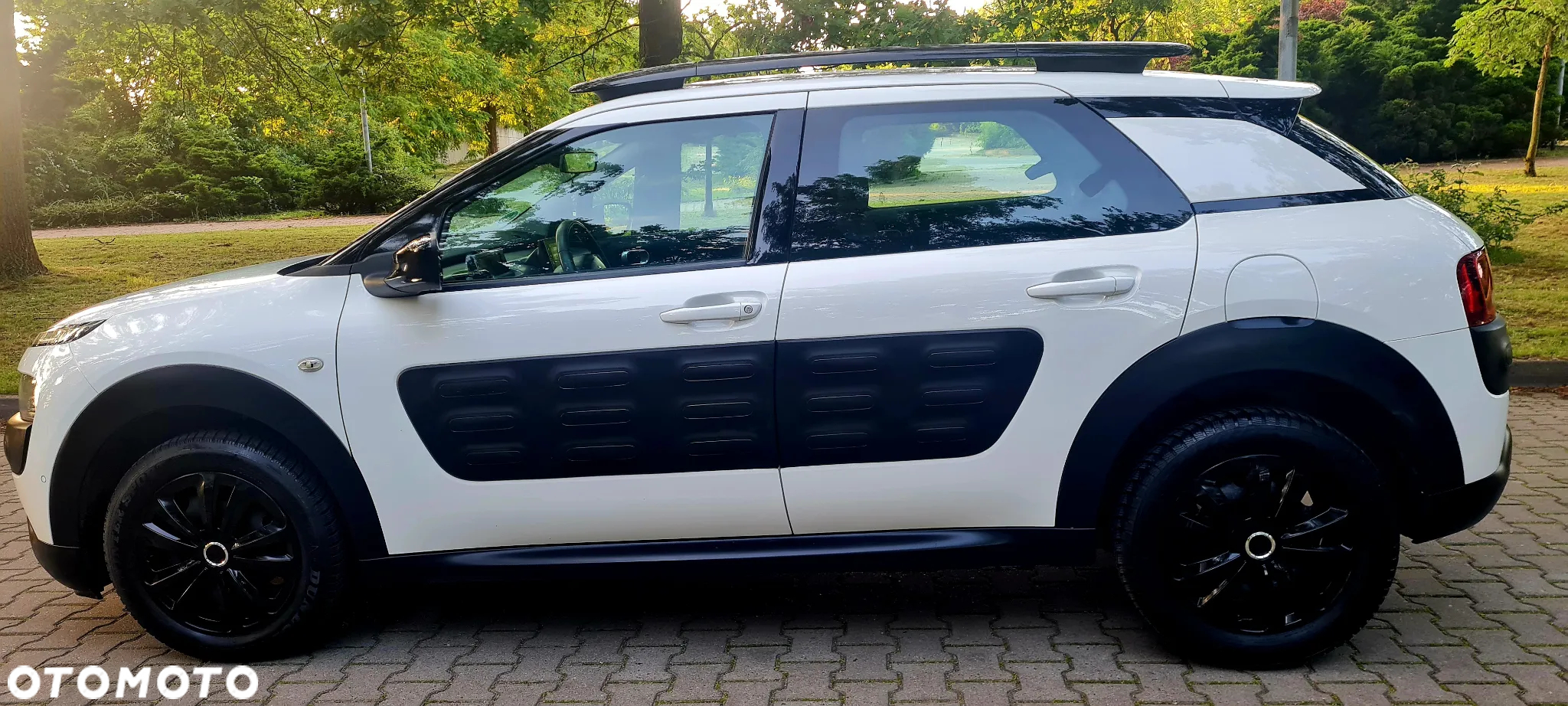 Citroën C4 Cactus 1.2 PureTech GPF Shine Pack S&S - 9