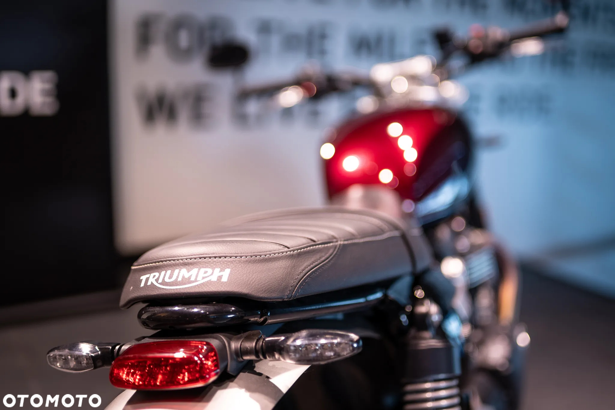 Triumph Speed Twin - 6