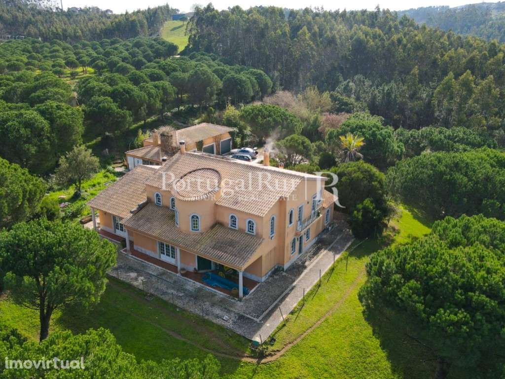 Quinta com 16 ha e moradia a 15 min. das praias - Grande imagem: 5/60