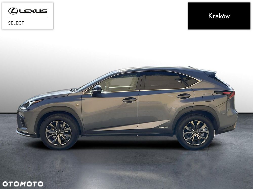 Lexus NX 300h F Sport Edition AWD - 2