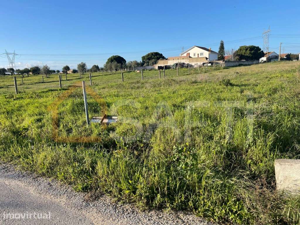 Terreno urbano em Charneca de Alcorochel, Torres Novas - Grande imagem: 3/10