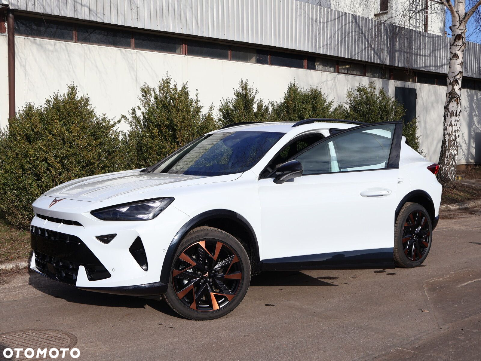 Cupra Formentor 1.5 eTSI mHEV DSG - 21