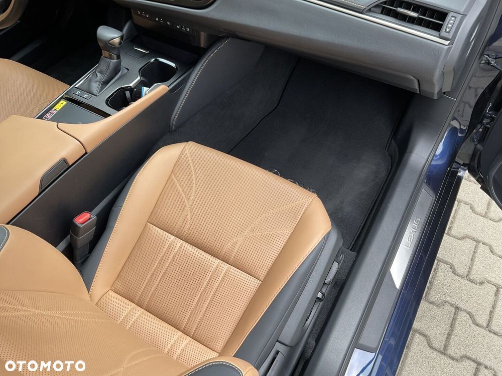 Lexus ES 300h Omotenashi - 10