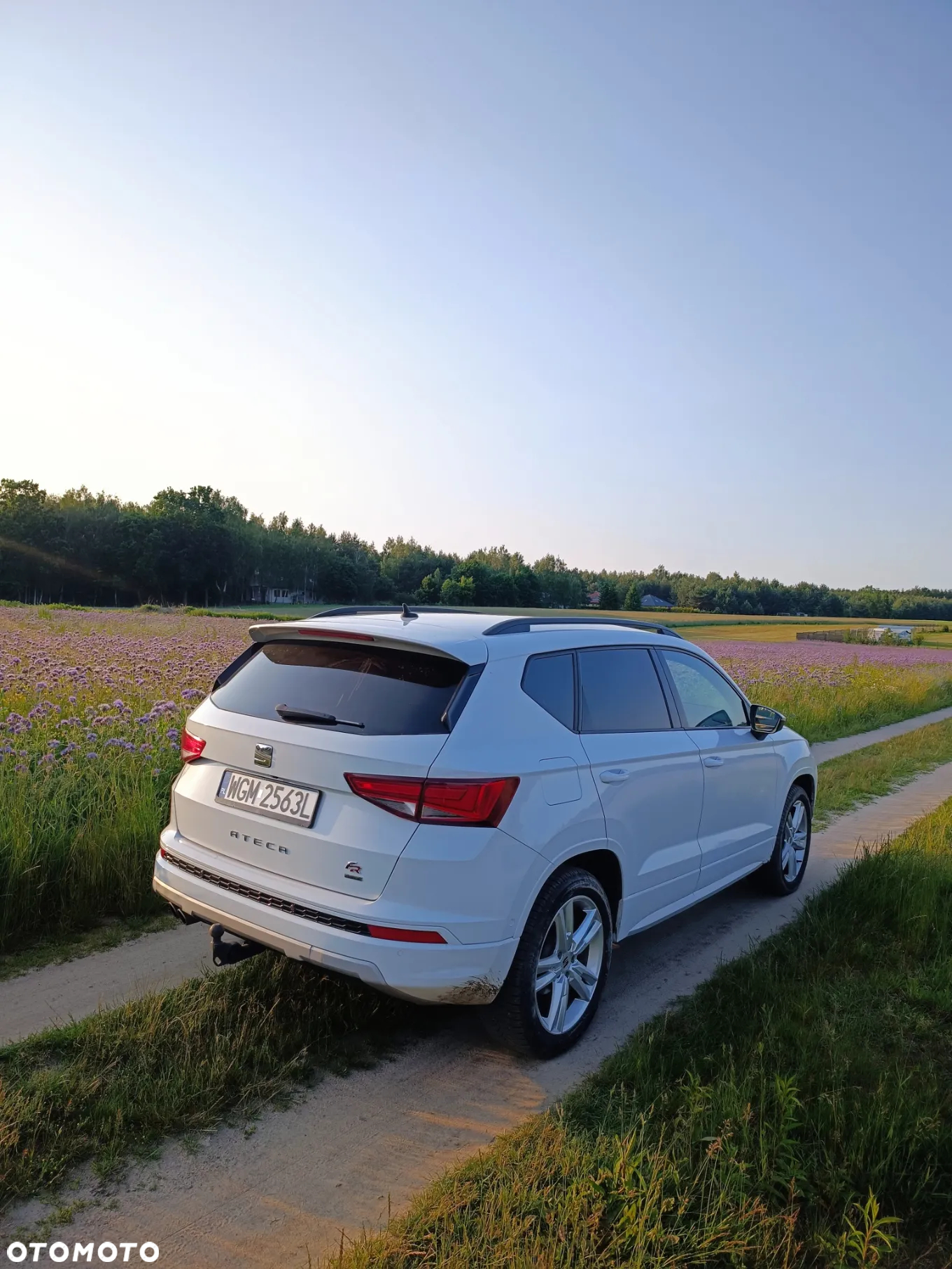 Seat Ateca 2.0 TDI 4Drive DSG FR - 19