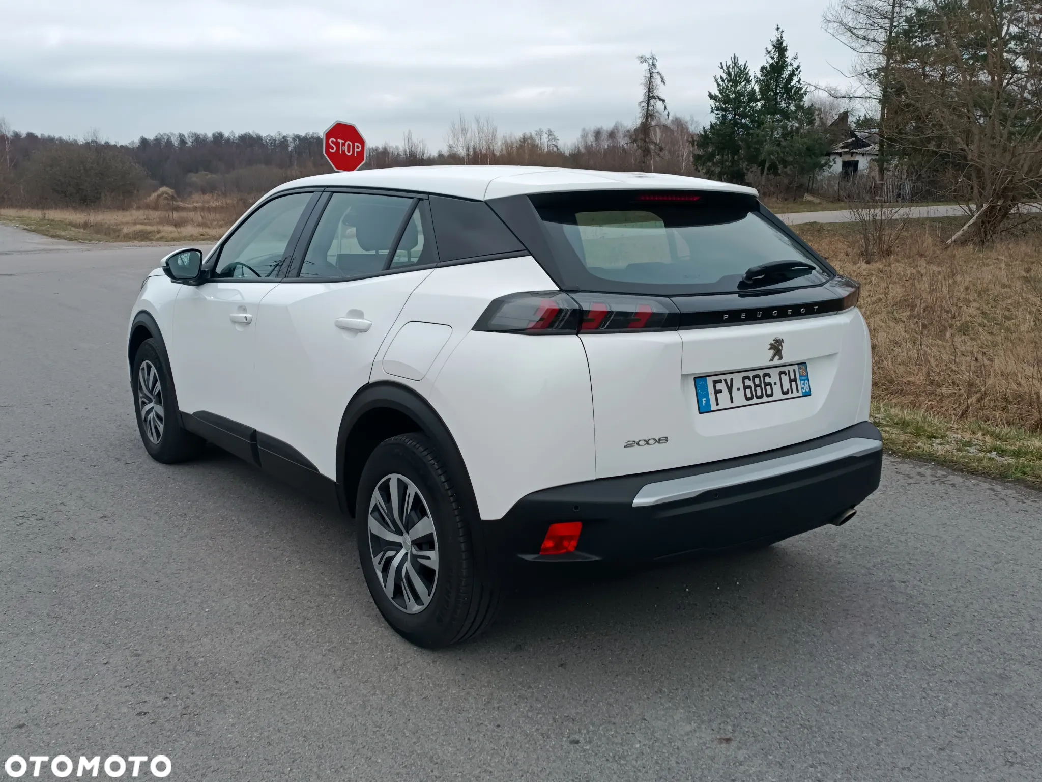 Peugeot 2008 1.5 BlueHDi Active S&S - 6