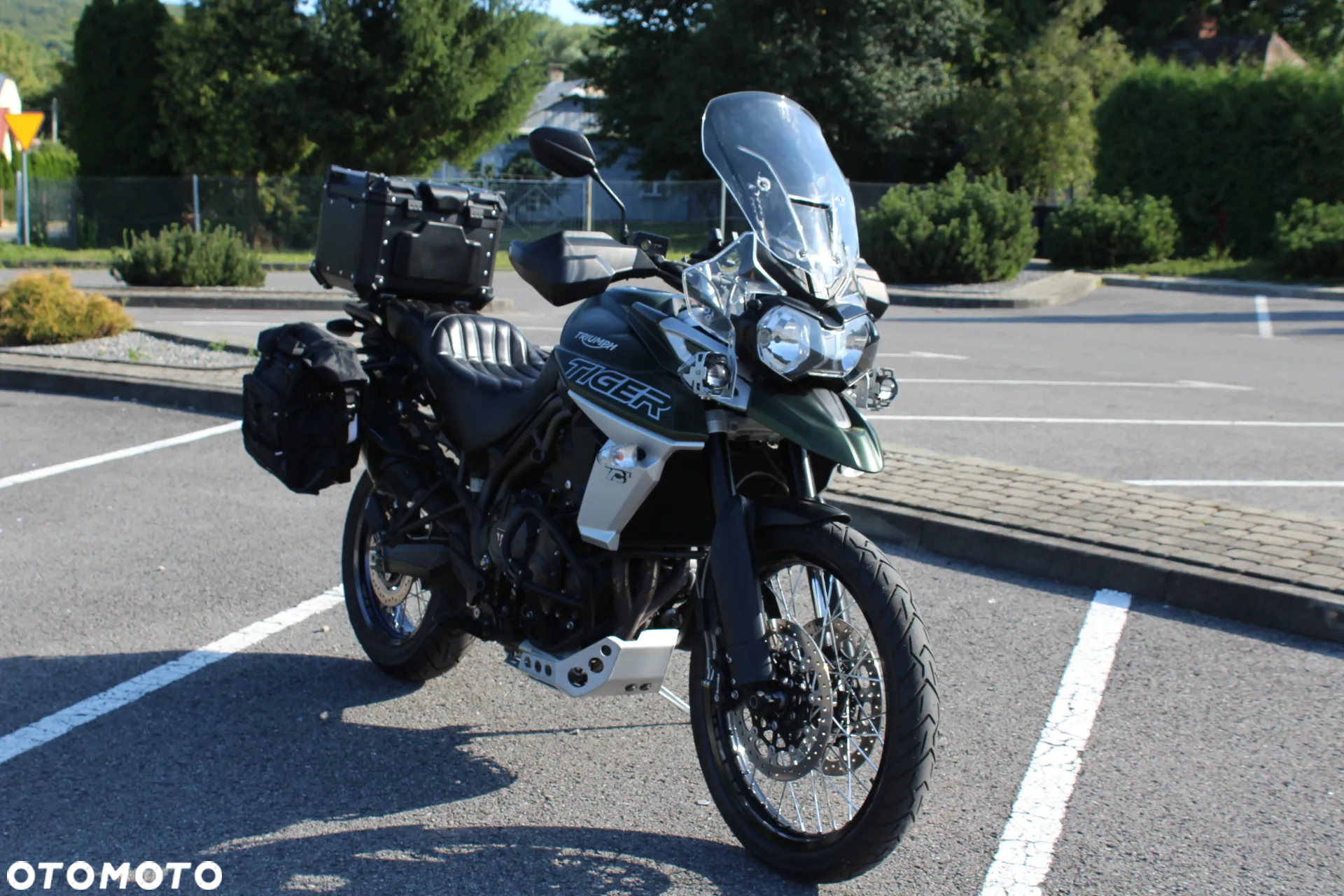 Triumph Tiger - 15
