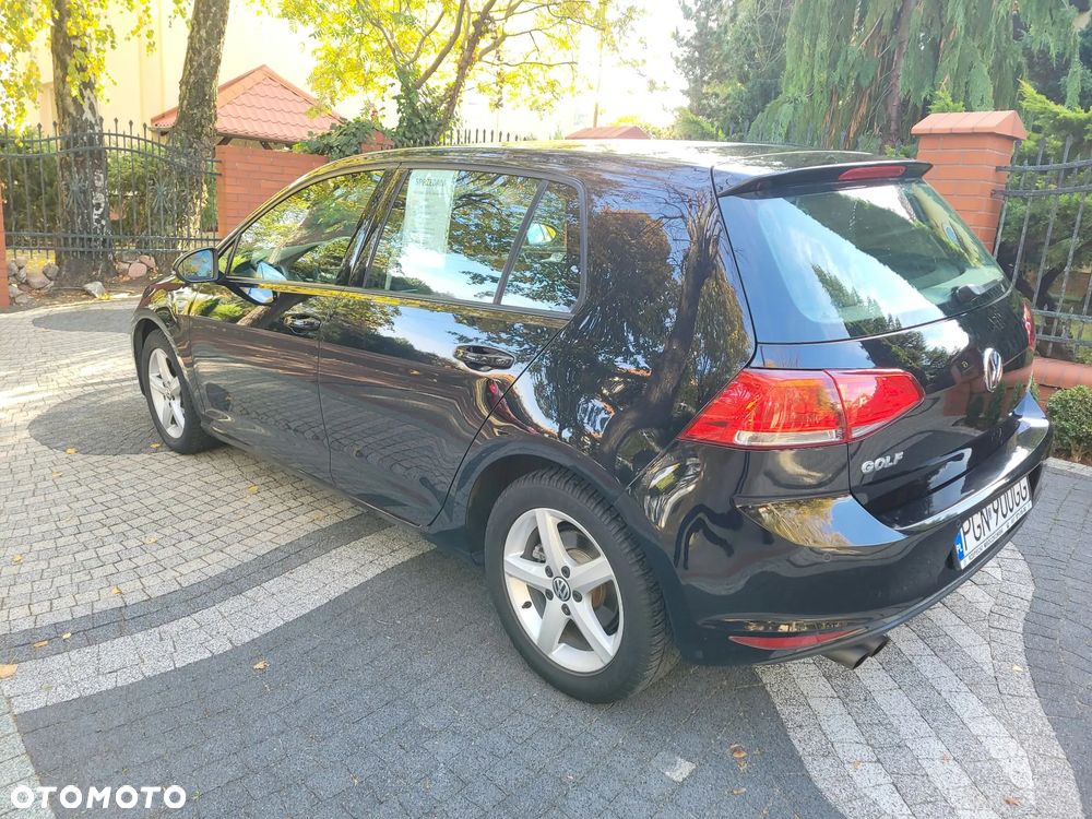 Volkswagen Golf - 8