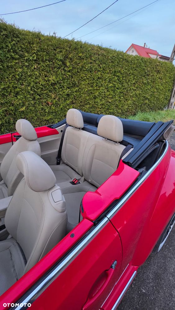 Volkswagen Beetle - 7