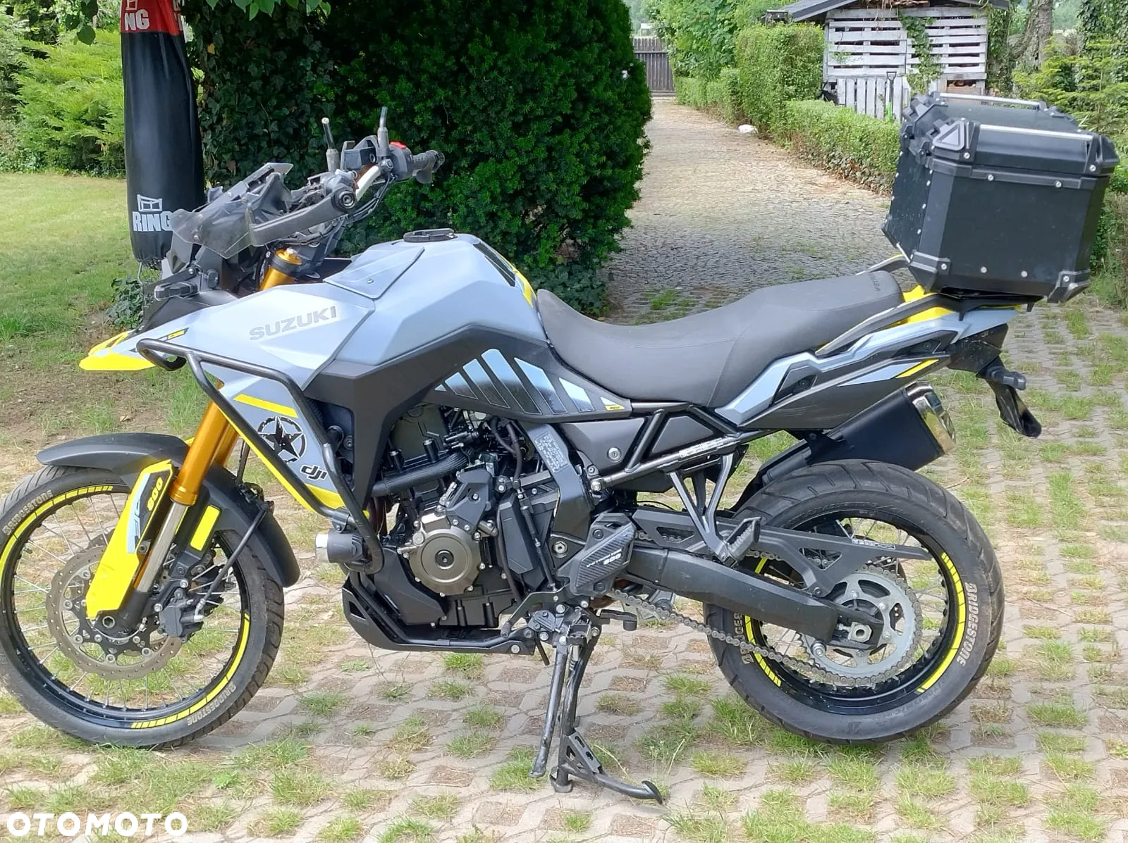Suzuki DL - 10