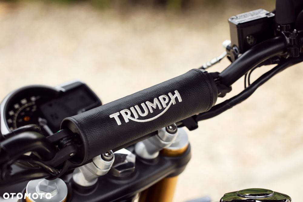 Triumph Scrambler - 18