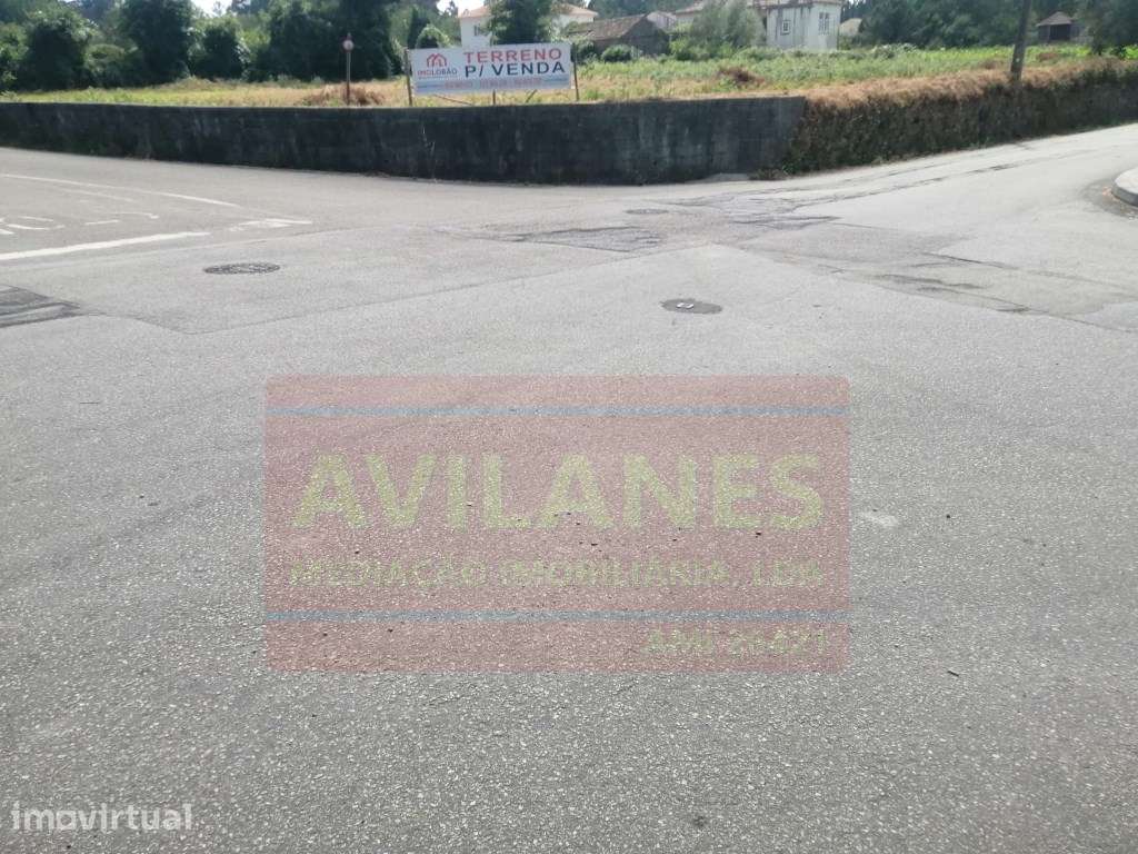 TERR. GAVETO - GUISANDE - Grande imagem: 4/4