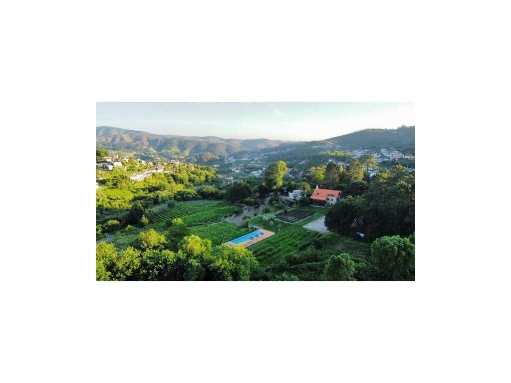 Quinta de Charme com Vinhas, Produção de Vinho e Piscina, para Vend... - Grande imagem: 3/60