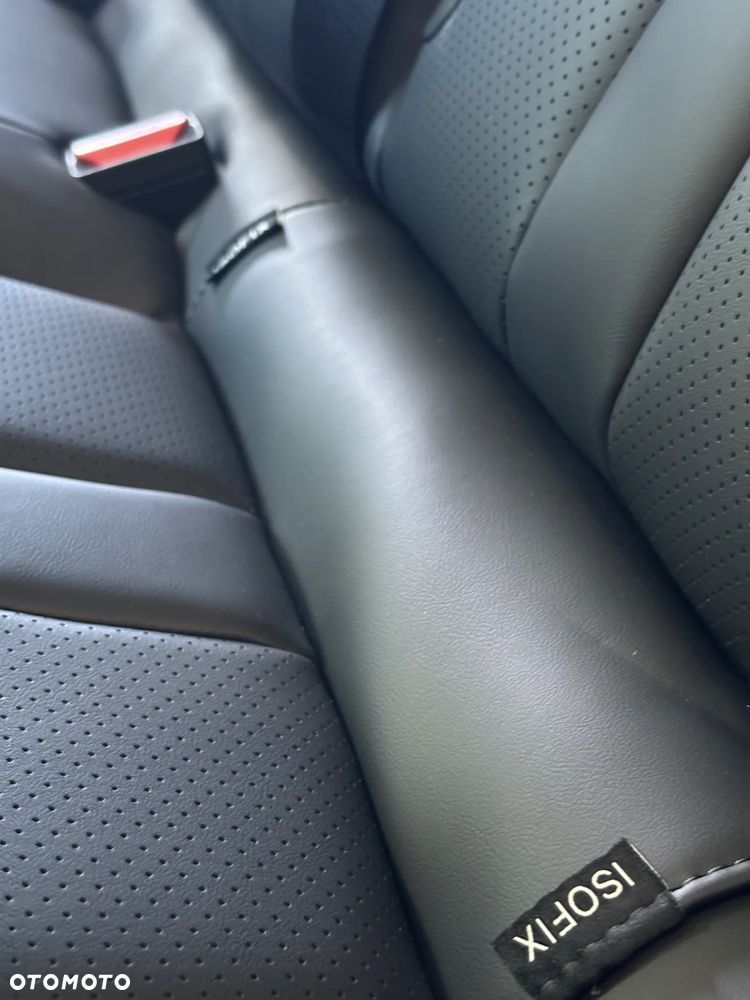 Dongfeng Mage - 29