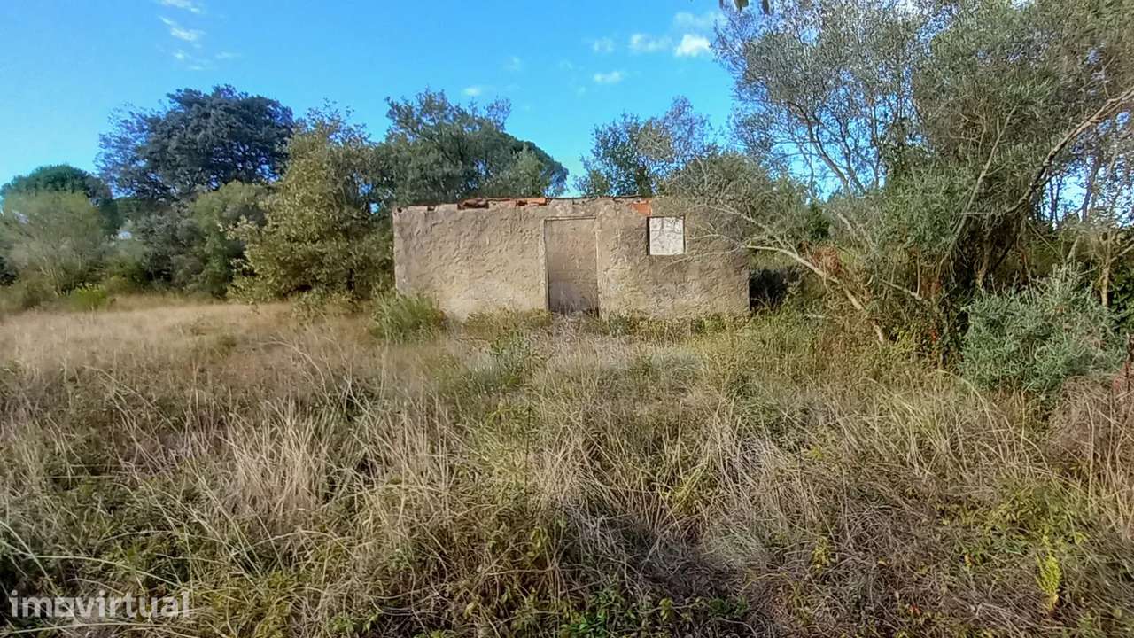 Terreno rústico | + 5000m2 | Lamarosa, Torres Novas