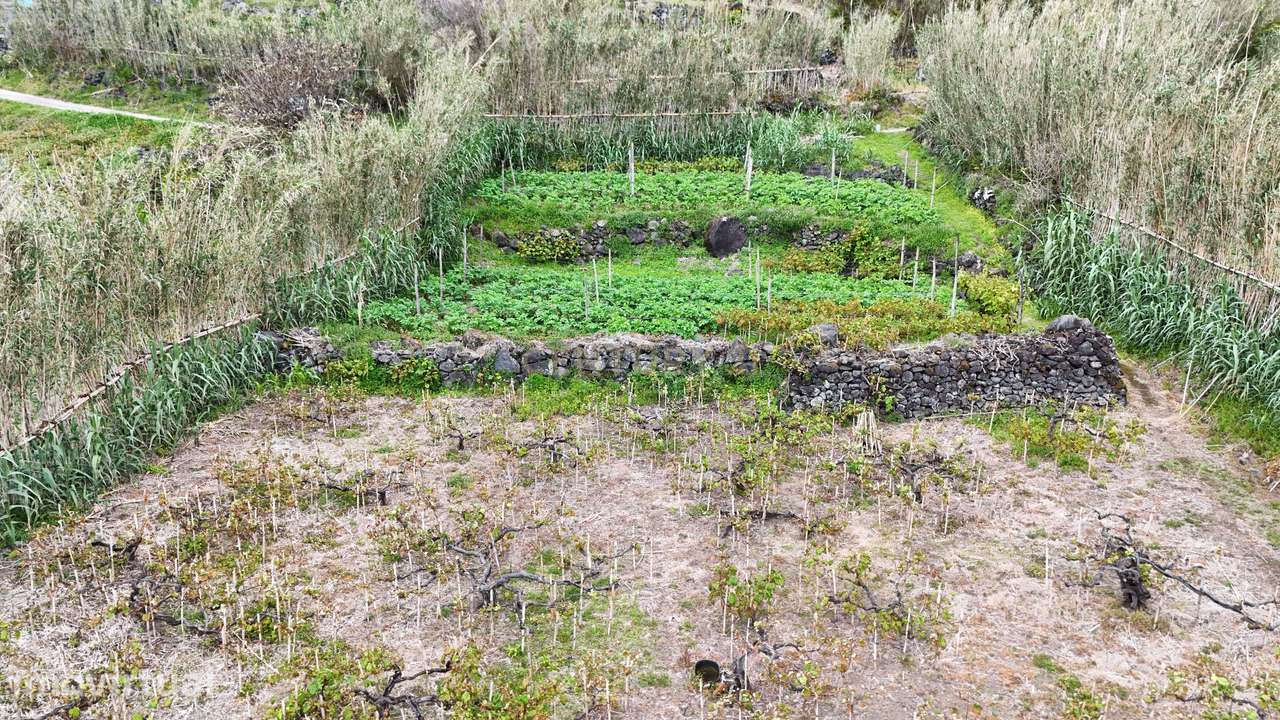 Terreno Rústico na Fajã do Calhau – Um Refúgio em Plena Natureza - Grande imagem: 4/13