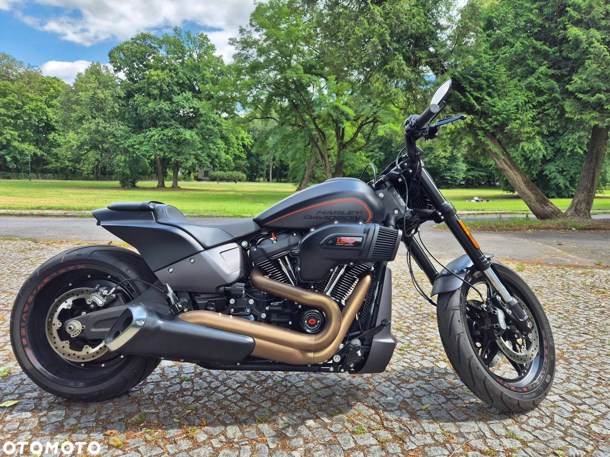 Harley-Davidson Softail FXDR - 1