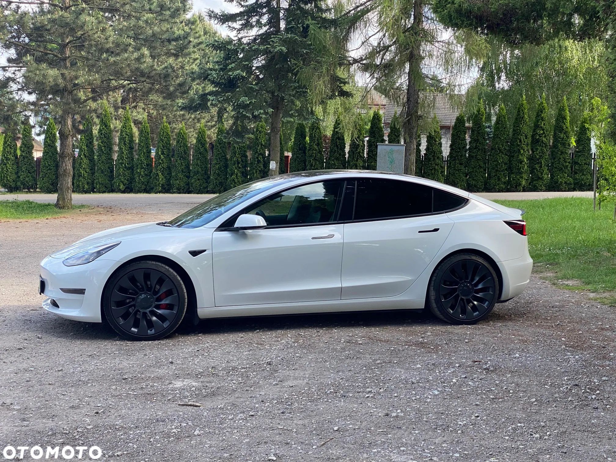 Tesla Model 3 Performance AWD - 1