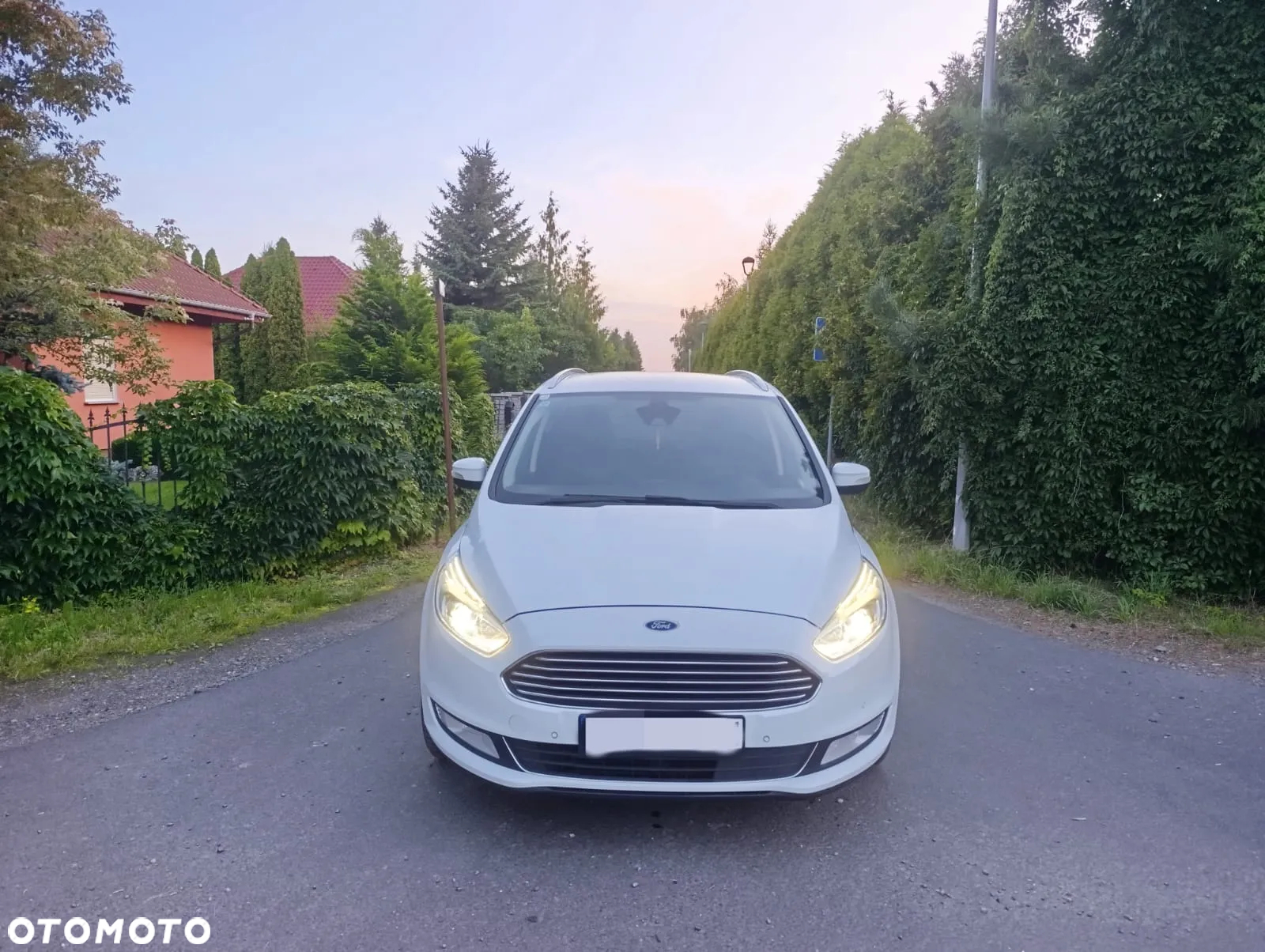 Ford Galaxy 2.0 TDCi Allrad Business - 2