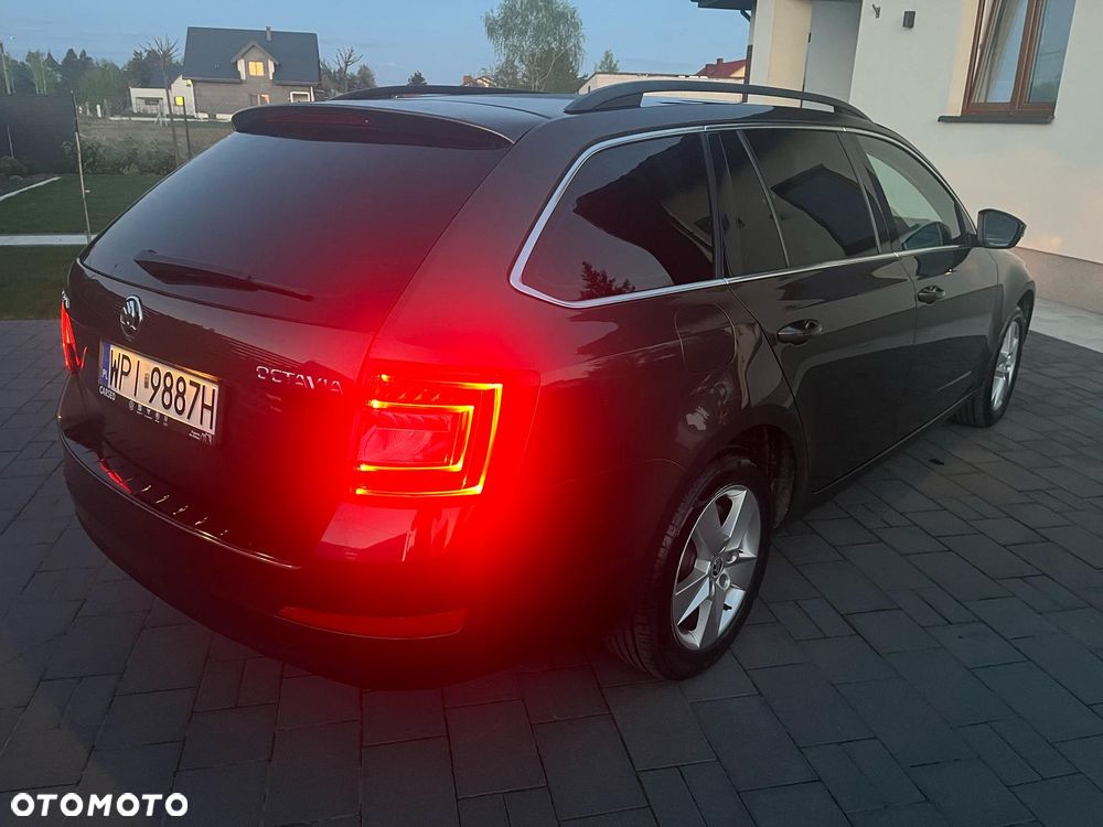 Skoda Octavia 1.6 TDI Ambition - 10