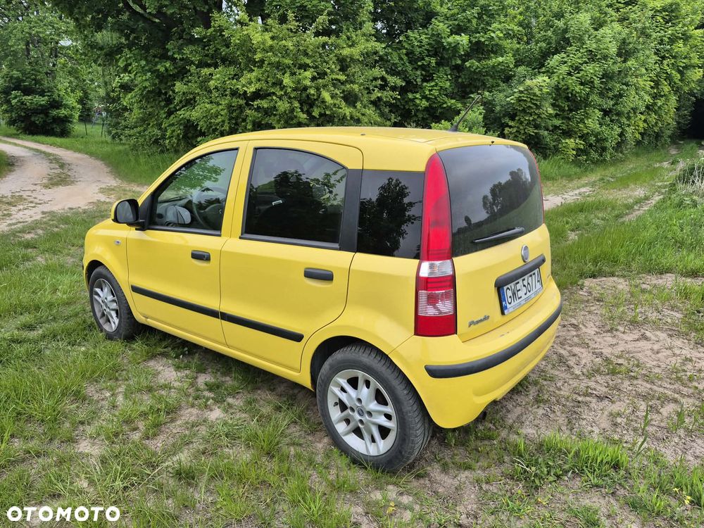 Fiat Panda - 4