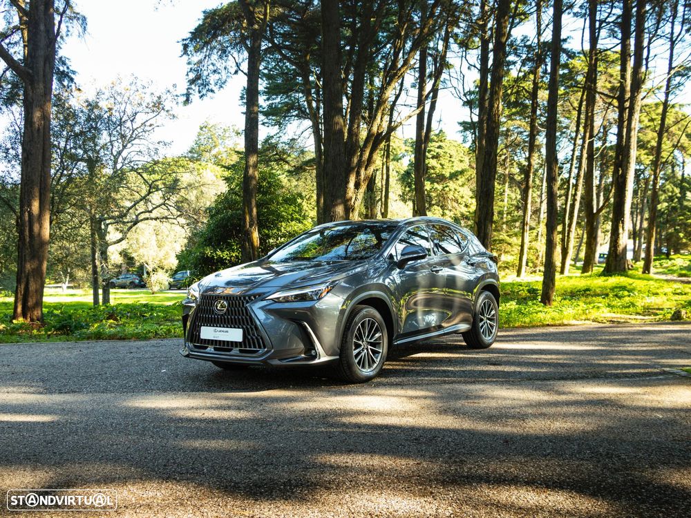 Lexus NX 350h Executive+ - 1