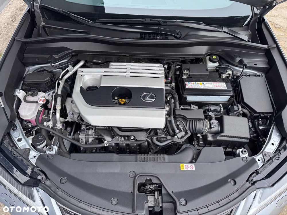 Lexus UX 200 GPF F Sport Design 2WD - 10