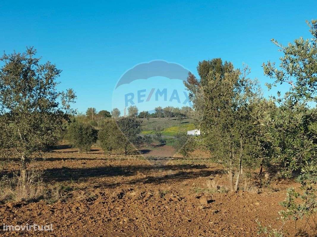 Terreno  para venda - Grande imagem: 5/8