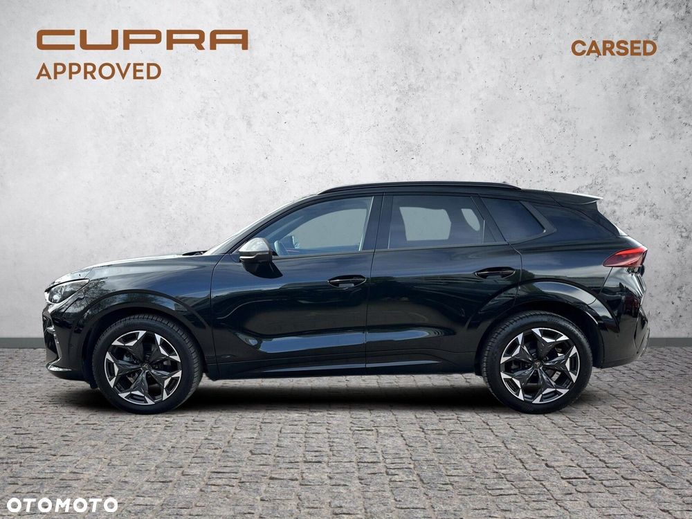 Cupra Terramar 1.5 eTSI mHEV DSG - 2