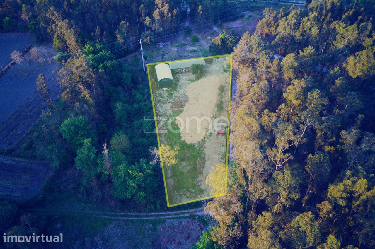 Terreno agrícola em Fragoso - Grande imagem: 2/15