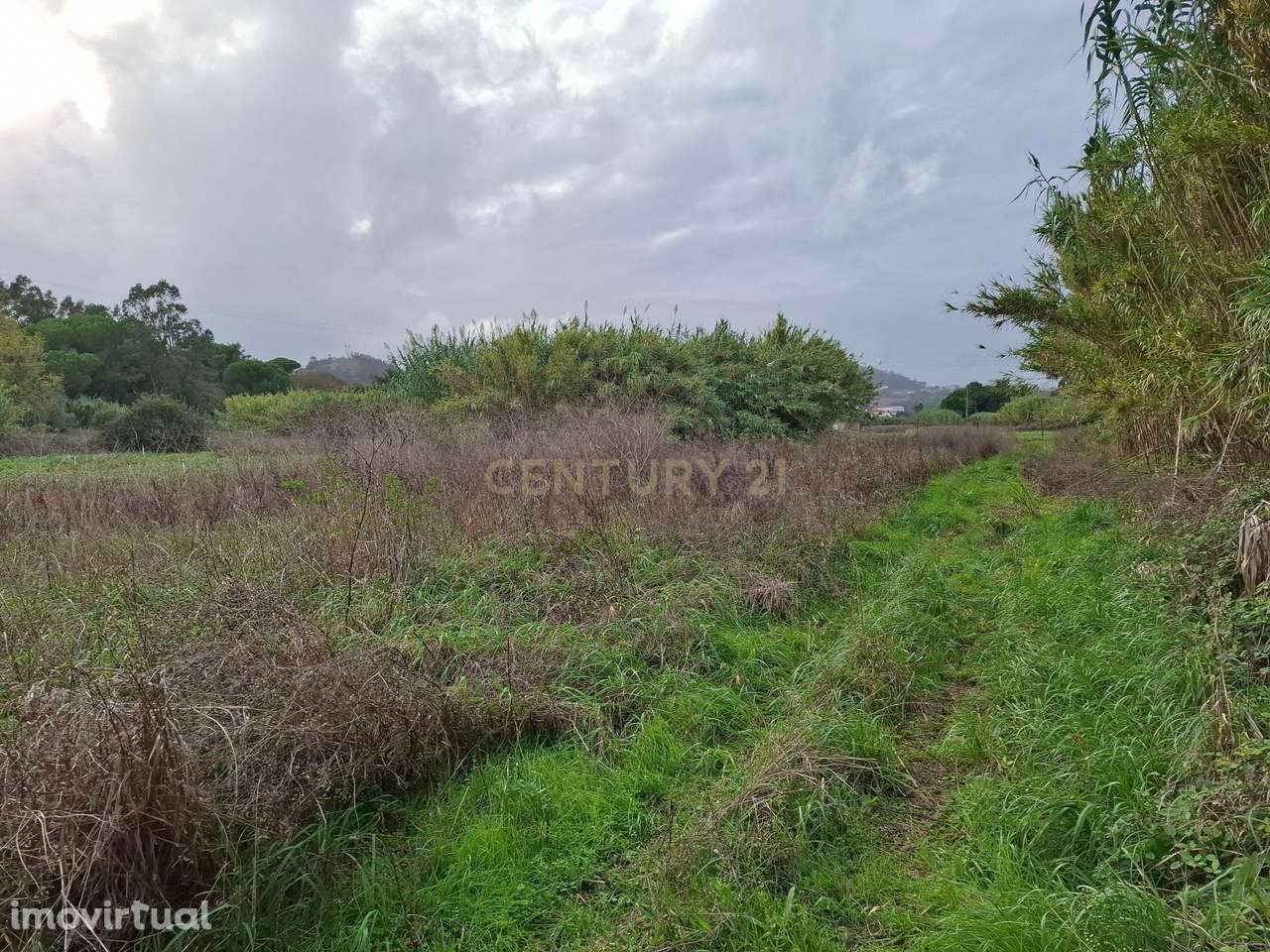 Terreno rústico - 5312m² - Asseiceira Grande - Grande imagem: 2/10
